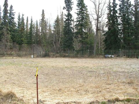 6240 E 112th Ave, Anchorage, AK 99516 photo 6