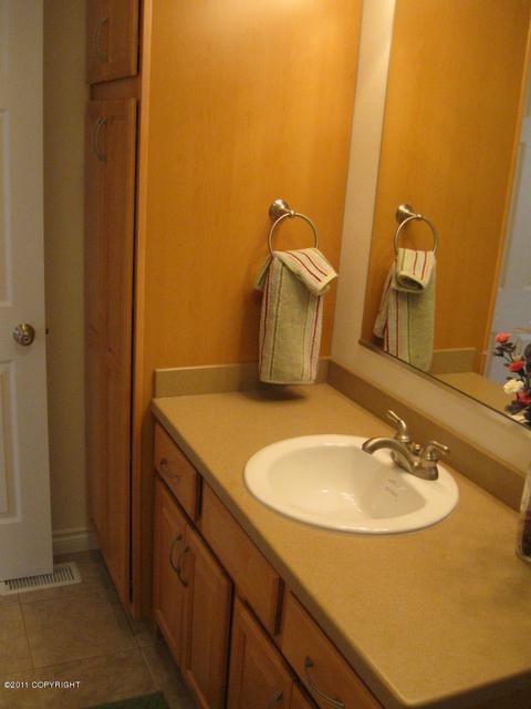 11230 Tulin Park Loop, Anchorage, AK 99516 photo 25