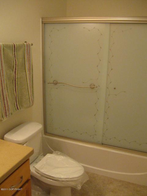 11230 Tulin Park Loop, Anchorage, AK 99516 photo 24