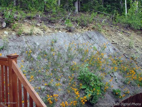 8947 Eagle Place Loop # 25, Eagle River, AK 99577 photo 20