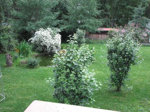 11400 Reader Rd, Anchorage, AK 99516 photo 5