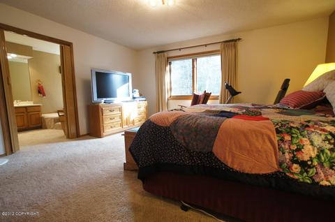 9201 Main Tree Dr, Anchorage, AK 99516 photo 26
