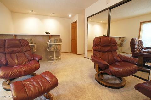 9201 Main Tree Dr, Anchorage, AK 99516 photo 25