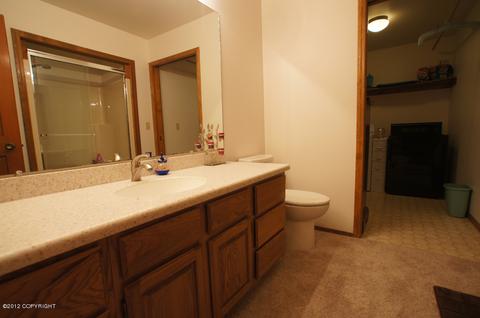 9201 Main Tree Dr, Anchorage, AK 99516 photo 23
