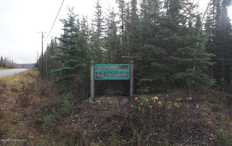 9201 Main Tree Dr, Anchorage, AK 99516 photo 55