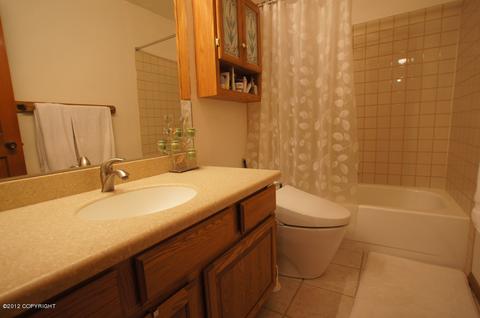 9201 Main Tree Dr, Anchorage, AK 99516 photo 33