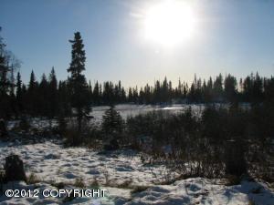 37458 Rascal Ln, Anchor Point, AK 99556 photo 5