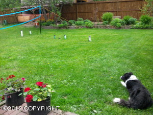 22319 Davidson Dr, Chugiak, AK 99567 photo 24