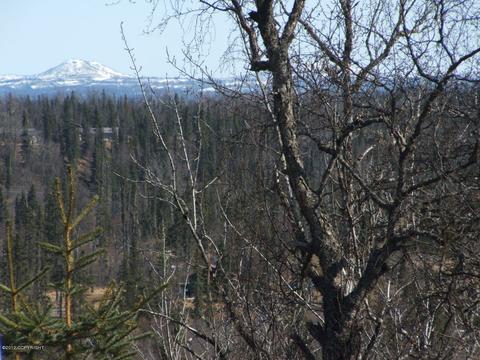 66449 Bluff St, Ninilchik, AK 99639 photo 3