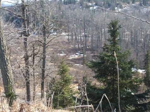 66449 Bluff St, Ninilchik, AK 99639 photo 2