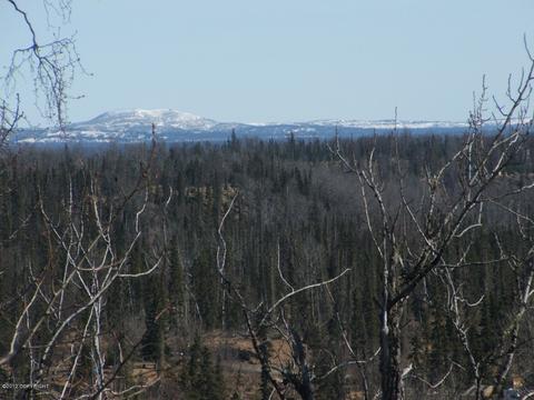 66449 Bluff St, Ninilchik, AK 99639 photo 18