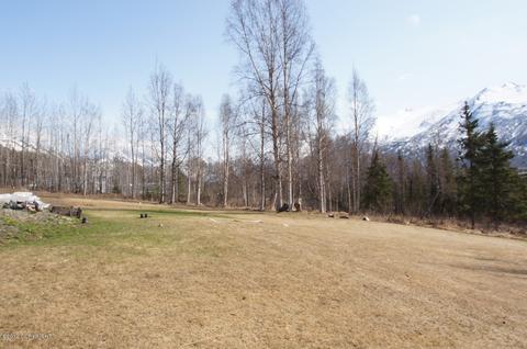 23014 Eagle Glacier Loop, Eagle River, AK 99577 photo 45