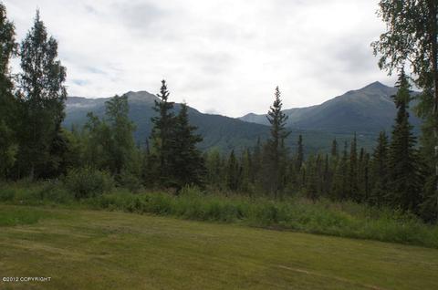 23014 Eagle Glacier Loop, Eagle River, AK 99577 photo 41