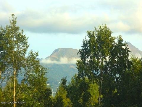 7884 Highlander Dr, Anchorage, AK 99518 photo 7