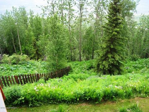 21916 Sheppard Dr, Eagle River, AK 99577 photo 22