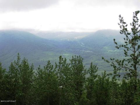 21916 Sheppard Dr, Eagle River, AK 99577 photo 23