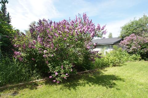2420 E 48th Ave, Anchorage, AK 99507 photo 38