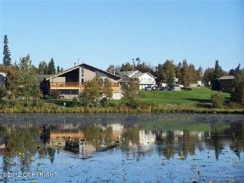 3671 Amber Bay Loop, Anchorage, AK 99515 photo 23