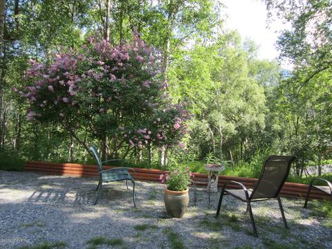 21365 Barbara Falls Dr, Eagle River, AK 99577 photo 9