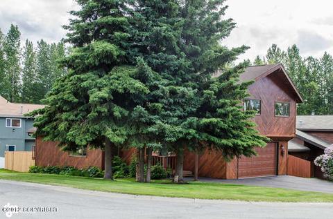 12421 Clippership Dr, Anchorage, AK 99515 photo 25