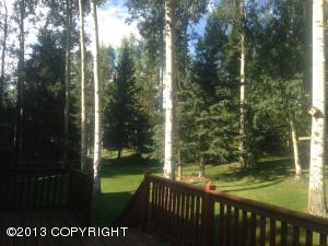 10701 Chatanika Loop, Eagle River, AK 99577 photo 8