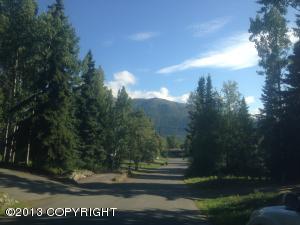 10701 Chatanika Loop, Eagle River, AK 99577 photo 12