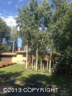 10701 Chatanika Loop, Eagle River, AK 99577 photo 17