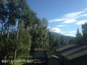 10701 Chatanika Loop, Eagle River, AK 99577 photo 9