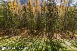 9190 Eagle River Ln, Eagle River, AK 99577 photo 25