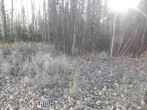 874 E Agate Ln, Wasilla, AK 99654 photo 25