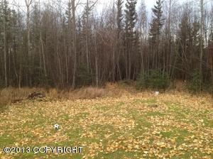 874 E Agate Ln, Wasilla, AK 99654 photo 26