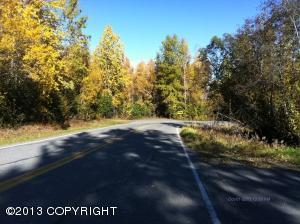 20907 S Birchwood Loop Rd, Chugiak, AK 99567 photo 5