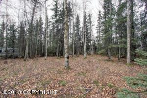 13030 Back Rd, Anchorage, AK 99515 photo 37