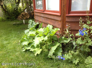 22445 Mcmanus Dr, Chugiak, AK 99567 photo 5
