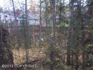 6550 Desiree Loop, Anchorage, AK 99507 photo 16