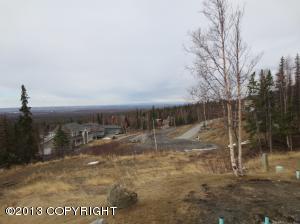 9980 Hampton Cir, Anchorage, AK 99507 photo 82