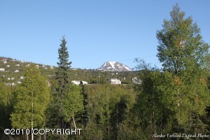 9980 Hampton Cir, Anchorage, AK 99507 photo 72