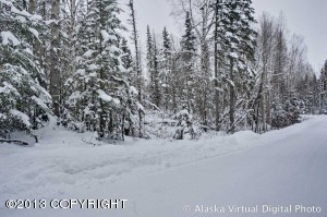 4901 E 104th Ave, Anchorage, AK 99507 photo 27