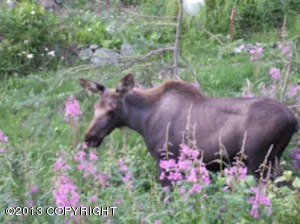 18939 Eagle River Rd, Eagle River, AK 99577 photo 11