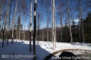 17407 Yellowstone Dr, Eagle River, AK 99577 photo 41