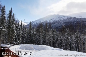 25636 Denaina Dr, Eagle River, AK 99577 photo 27