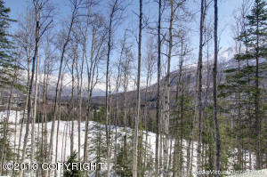 17790 Shasta Cir, Eagle River, AK 99577 photo 20