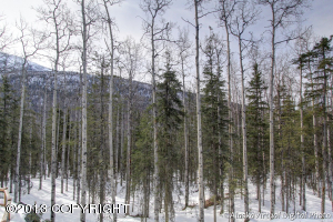 17474 Yellowstone Dr, Eagle River, AK 99577 photo 16