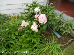 9502 Kavik St, Anchorage, AK 99502 photo 24