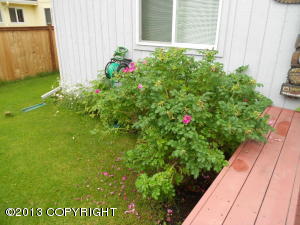 9502 Kavik St, Anchorage, AK 99502 photo 25