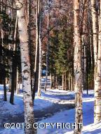 18937 Sarichef Loop, Eagle River, AK 99577 photo 18