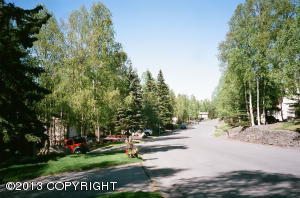 4010 Apollo Dr, Anchorage, AK 99504 photo 3
