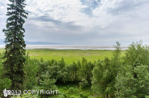 2000 Shore Dr, Anchorage, AK 99515 photo 24