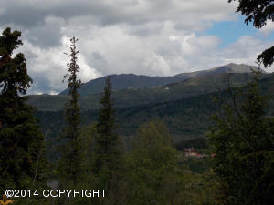 7900 Robert Cir, Anchorage, AK 99516 photo 17