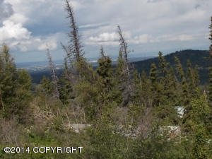 7900 Robert Cir, Anchorage, AK 99516 photo 19